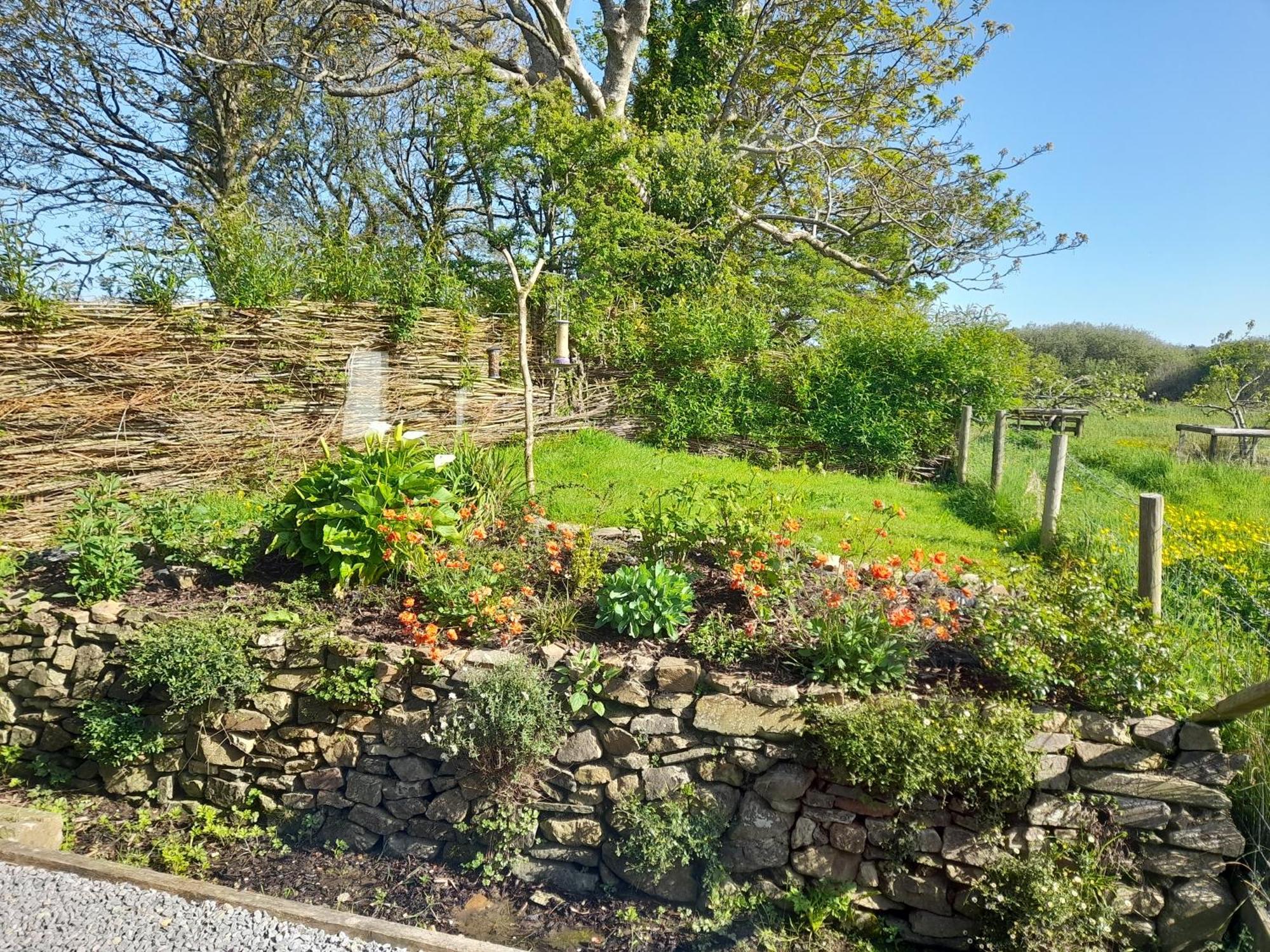 North Headborough Bed & Breakfast Haverfordwest Bagian luar foto